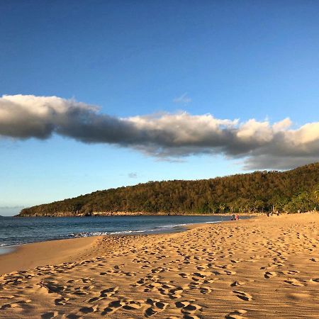 Le Surf Lodge, Chambre Avec Vue Mer Dans Un Ecrin De Verdure Deshaies Eksteriør bilde