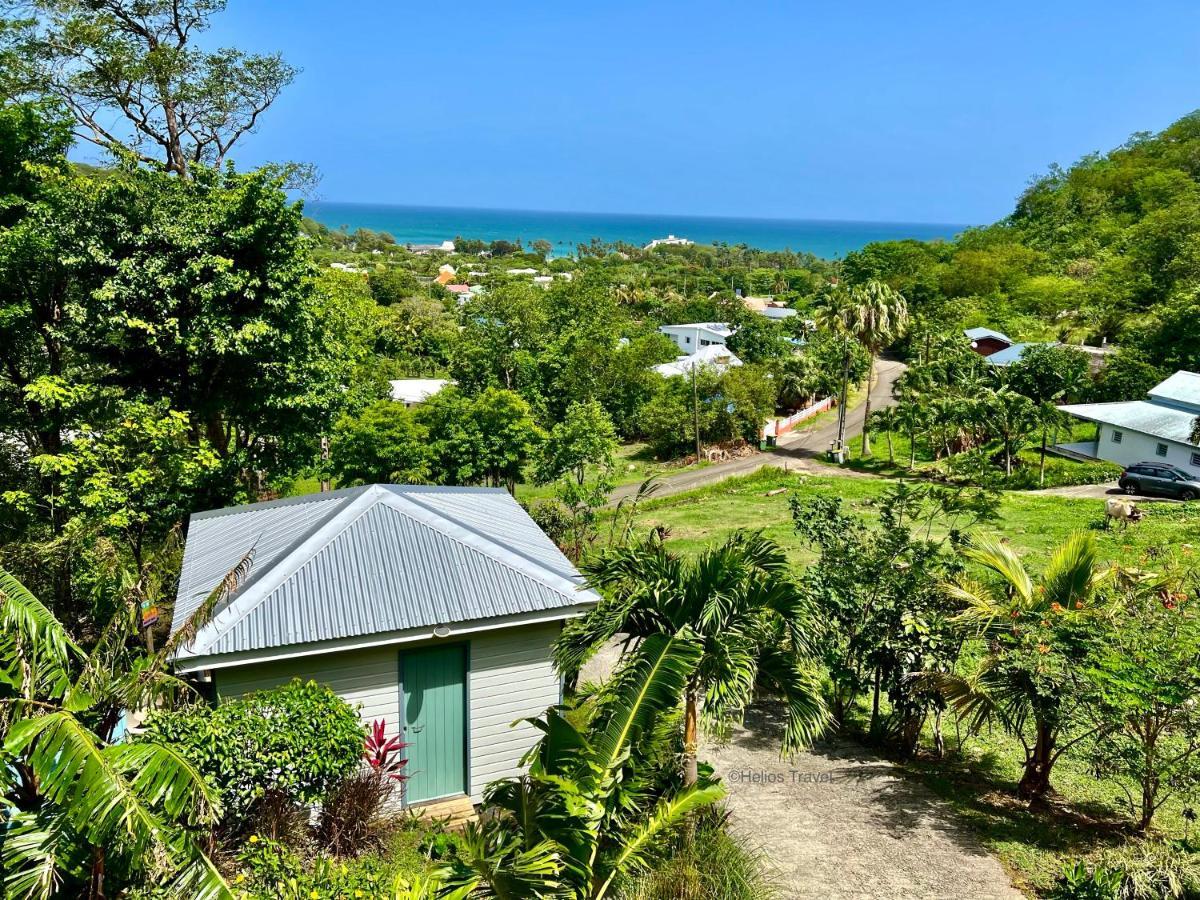 Le Surf Lodge, Chambre Avec Vue Mer Dans Un Ecrin De Verdure Deshaies Eksteriør bilde