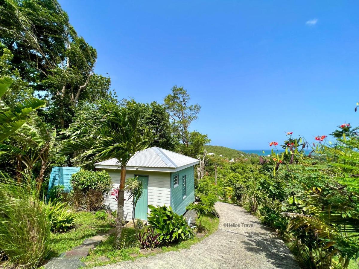 Le Surf Lodge, Chambre Avec Vue Mer Dans Un Ecrin De Verdure Deshaies Eksteriør bilde