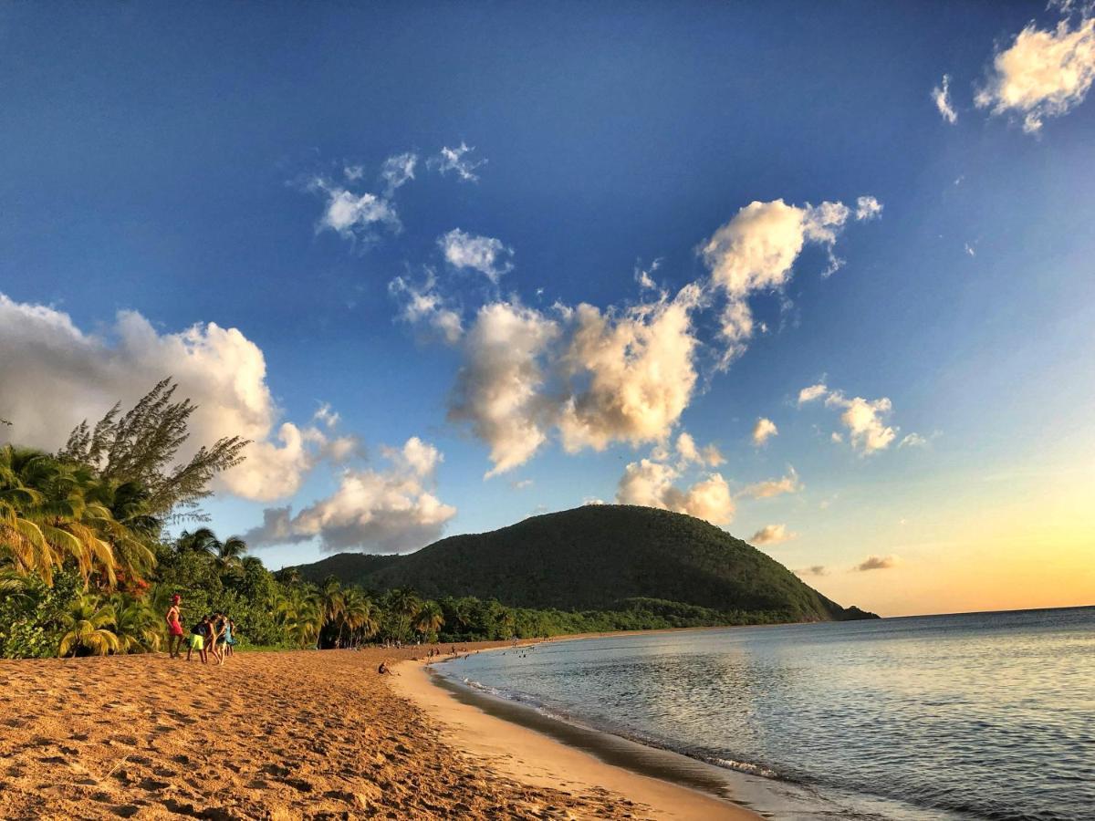 Le Surf Lodge, Chambre Avec Vue Mer Dans Un Ecrin De Verdure Deshaies Eksteriør bilde