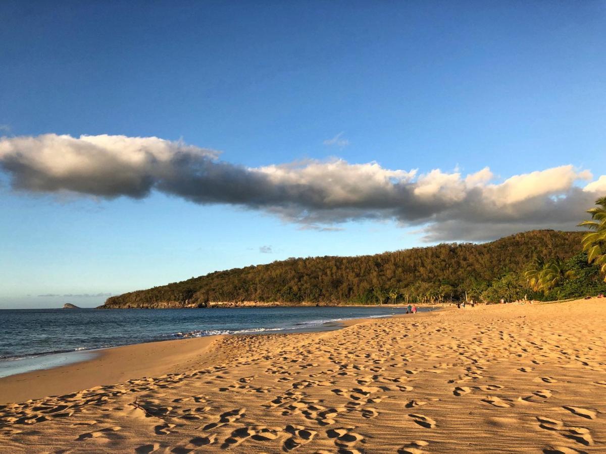 Le Surf Lodge, Chambre Avec Vue Mer Dans Un Ecrin De Verdure Deshaies Eksteriør bilde