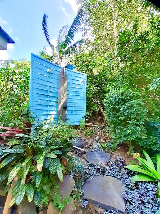 Le Surf Lodge, Chambre Avec Vue Mer Dans Un Ecrin De Verdure Deshaies Eksteriør bilde